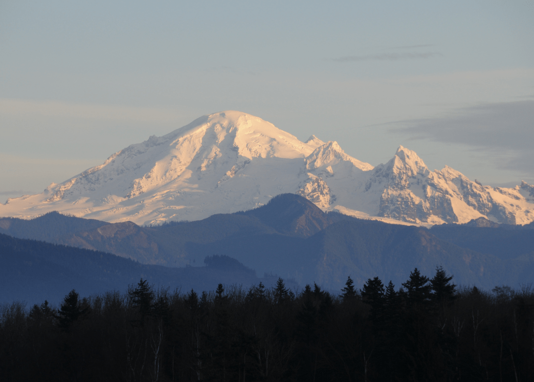 Explore the Northwest Collection Western Libraries Western